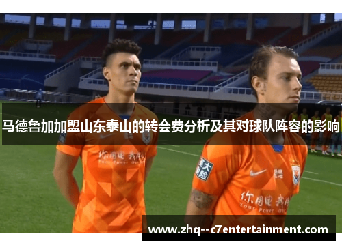 马德鲁加加盟山东泰山的转会费分析及其对球队阵容的影响